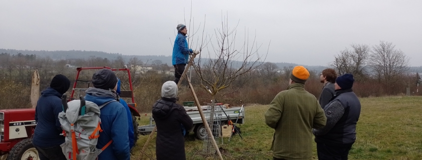 Teilnehmende an einem Schnittkurs
