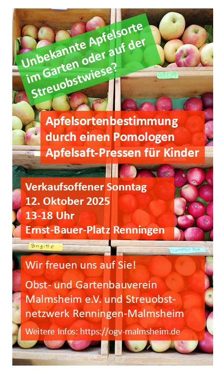 Plakat zur Apfelsortenbestimmung 2025