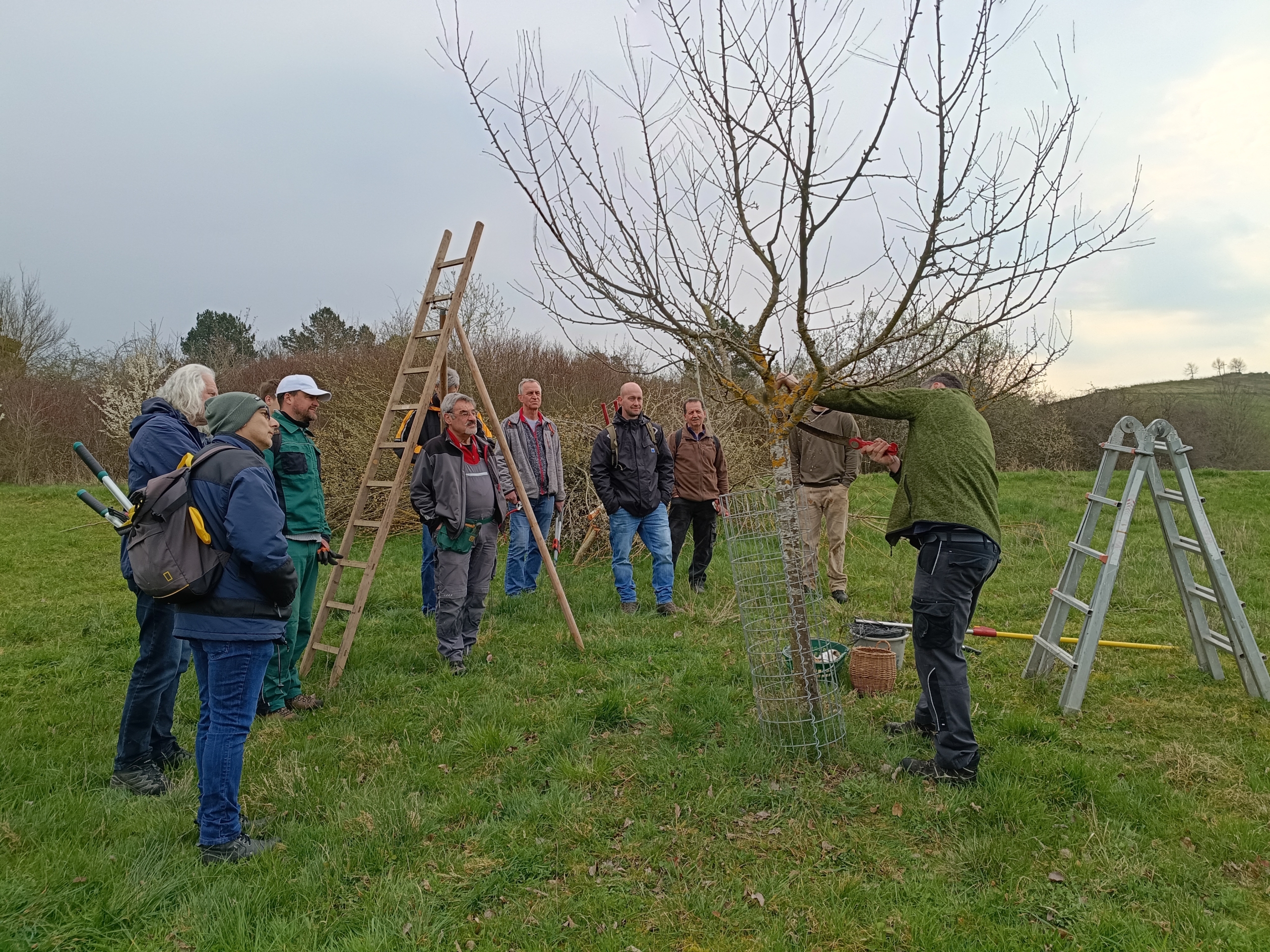 Eine Person demonstriert den Obstbaumschnitt, andere Personen sehen zu.