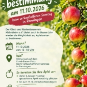 Plakat zur Apfelsortenbestimmung 2026